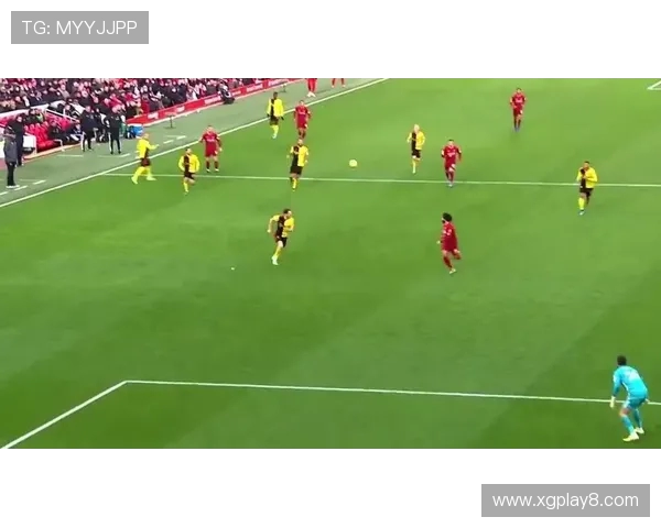 潘奎足球特点分析：技术细腻与战术意识的完美结合